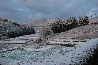 雪景色 004.jpg