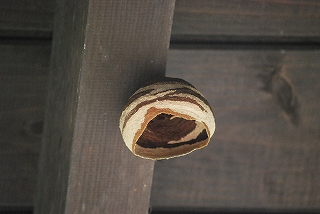 s25-100526 012.jpg