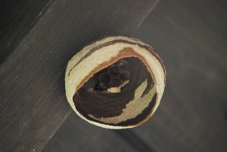 s25-100526 015.jpg