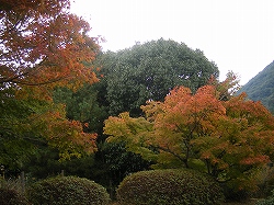 s25-1105相撲場.jpg