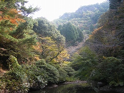 s25-1105陶山神社池.jpg