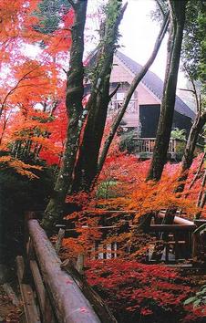 隣接し、ハーブやもみじ等、四季の花々が楽しめる。
