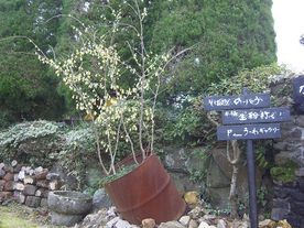 そば処 のりとう