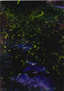 20120604.jpg