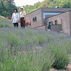China On The Park Chujikan