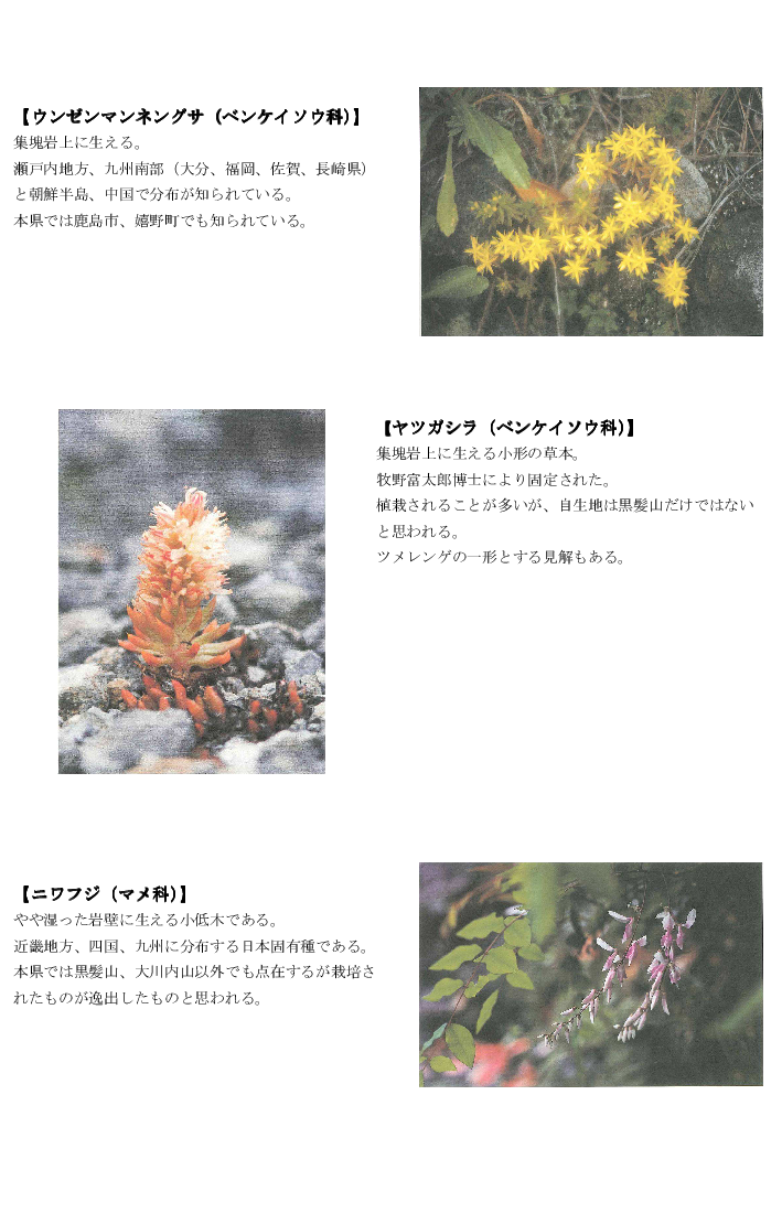 黒髪山の植物3tr.png