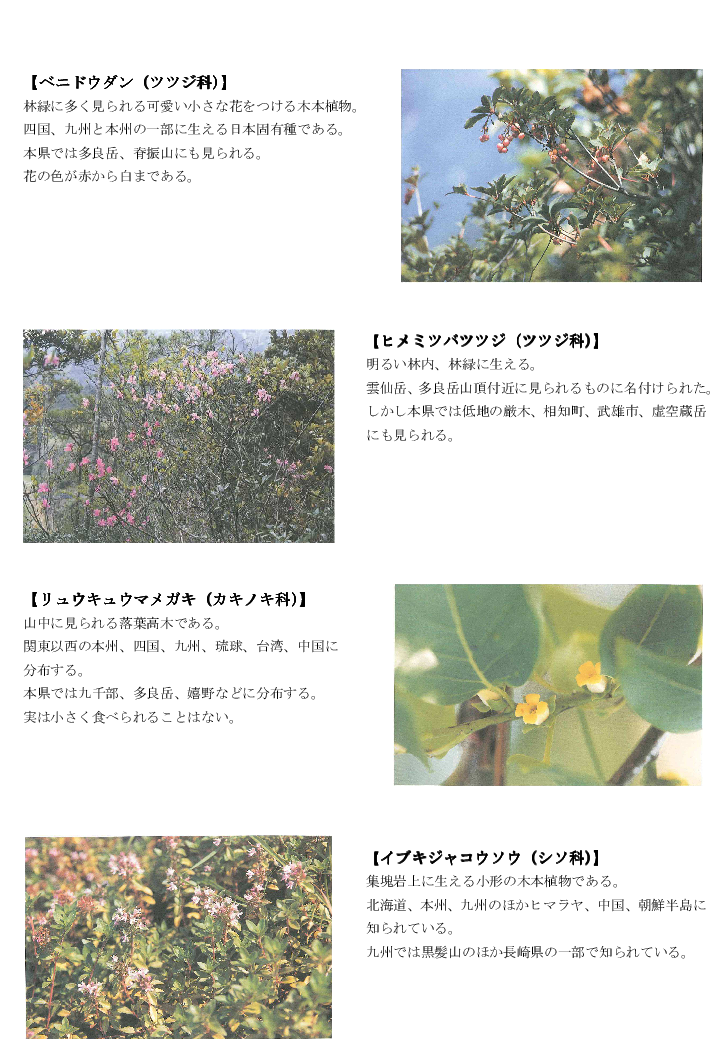 黒髪山の植物5trpng.png