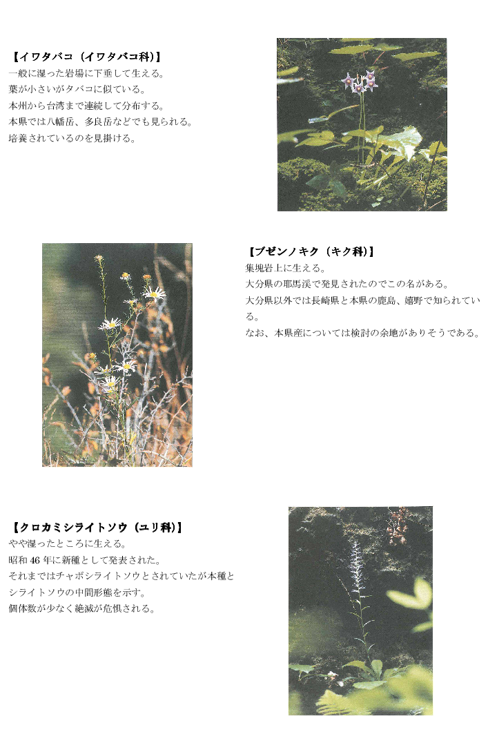黒髪山の植物6tr.png