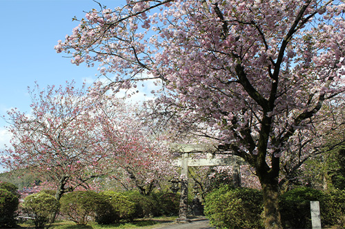 山田神社（唐船城跡）