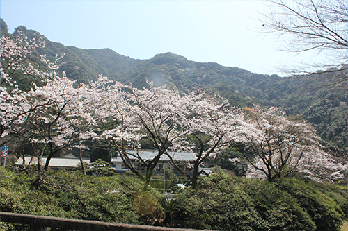 竜門ダム