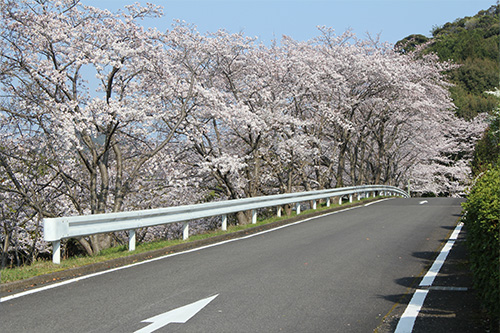 佐賀県立九州陶磁文化館