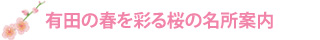 有田の春を彩る桜の名所案内