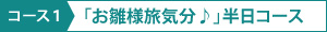 コース１「お雛様旅気分♪」半日コース