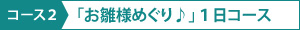 コース２「お雛様めぐり♪」１日コース