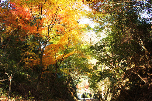 日本磁器発祥の地・泉山磁石場