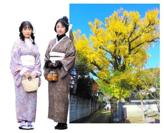 有田きもの着こなしコンテスト