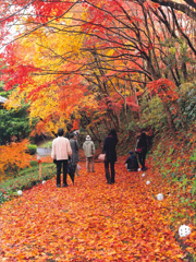 有田町歴史民俗資料館