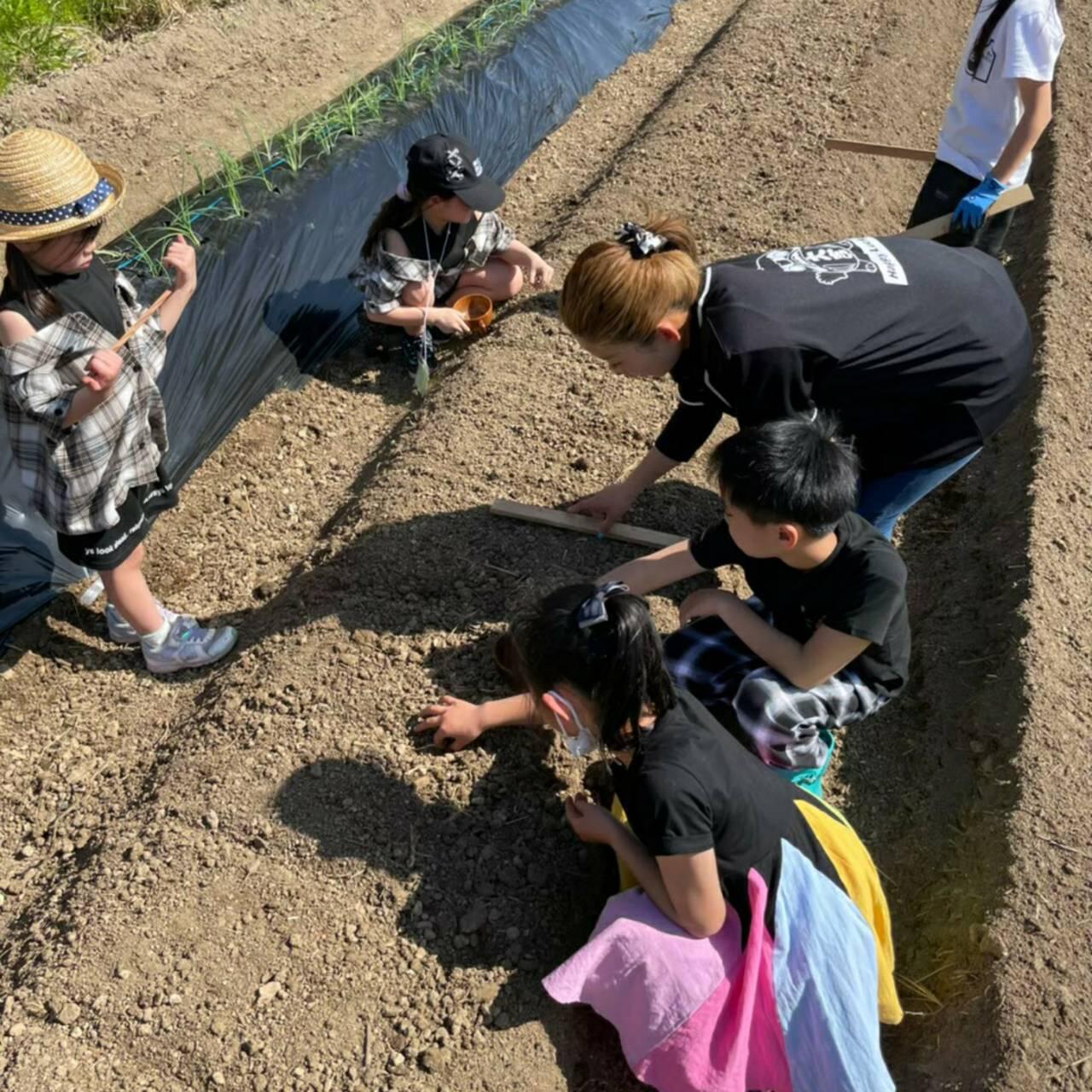 【種をまこう】一緒に畑に野菜の種をまいて成長を楽しみませんか？