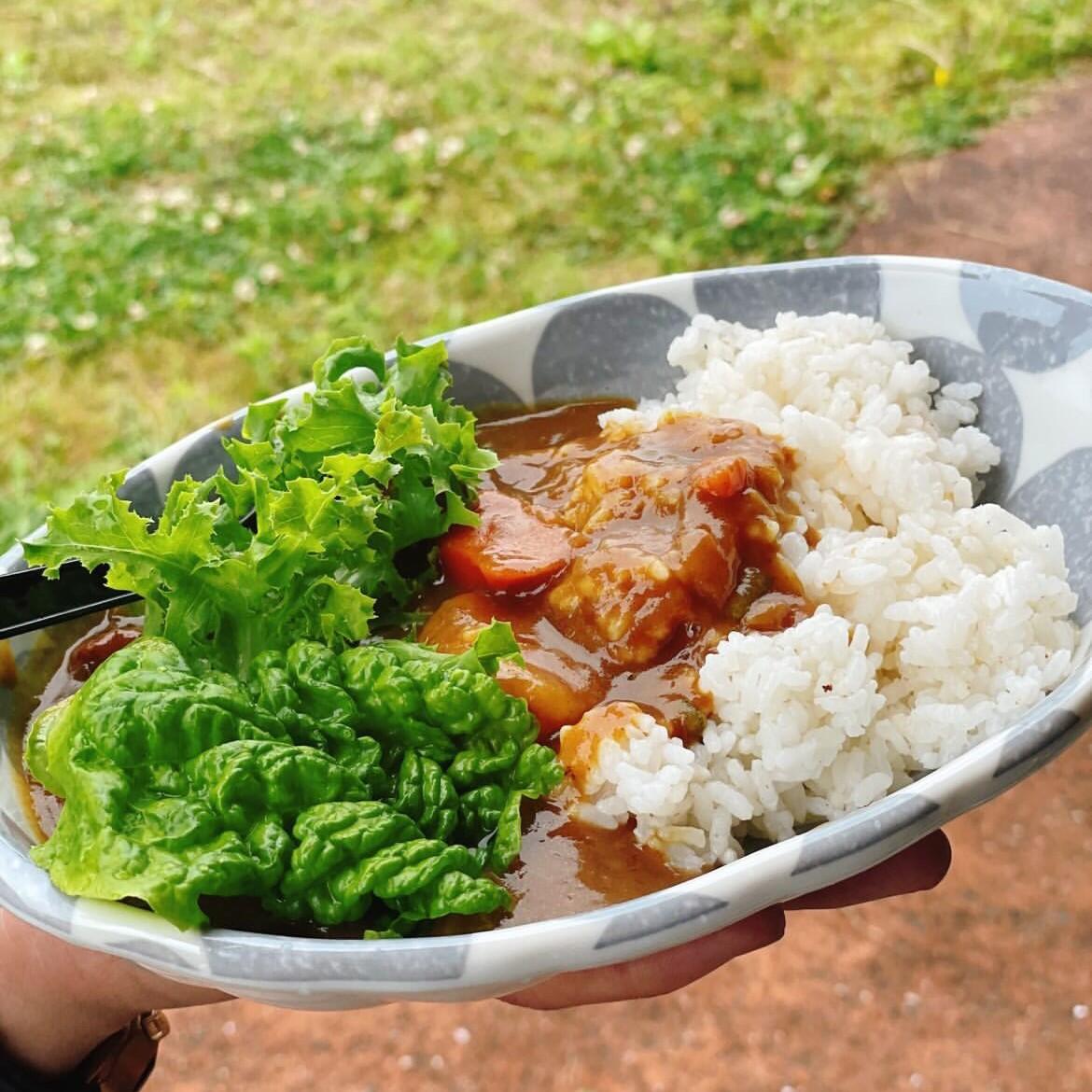 ベジタブルカレー<br>素材にこだわってその時期に採れた旬の野菜をふんだんに入れて煮込んでいます。