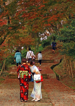 陶山神社 紅葉.jpg