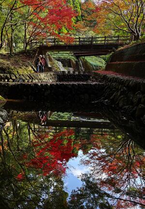有田観光協会「水面に映った紅葉」_縮小.jpg