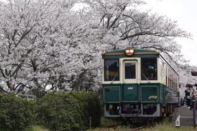 レトロン号で日帰りグルメ「～有田伊万里・つなぐ列車～レトロン陶都ものがたり【2023年3月・4月出発】」販売中です！