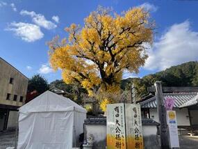 「第19回秋の有田陶磁器まつり」ご来場ありがとうございました！