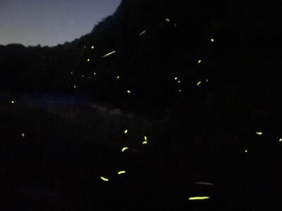 ■2024-05-10_20-10-51_113.jpeg