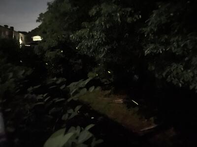 ●2024-05-20_20-53-57_176.jpeg