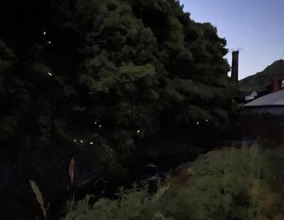 ○2024-05-14_20-03-07_789.jpeg
