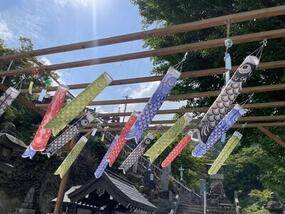 ブログ「準備の裏側」に「陶山神社の鯉のぼり」をUPしました。