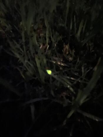 2025-05-12_20-16-53_568.jpeg