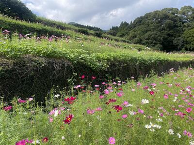 〇2025-10-13_13-53-10_884.jpeg