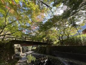 ブログ「準備の裏側」に「【2025年 有田の紅葉情報】竜門峡」をUPしました。