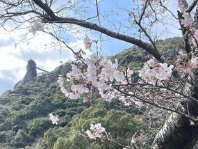 ブログ「準備の裏側」に「【桜の開花情報2026】有田ダム・竜門峡・焱の博記念堂・佐賀県立九州陶磁文化館　Vol.1」の記事をUPしました。