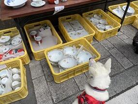 ブログ「準備の裏側」に「愛犬と楽しむ有田陶器市」の記事をUPしました。