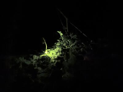 〇2026-05-10_20-24-22_648.jpeg
