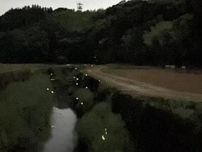 ブログ「準備の裏側」に「【ホタル情報2026】山本地区のホタル」の記事をUPしました。