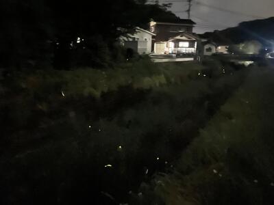 〇2026-05-20_20-12-40_958.jpeg
