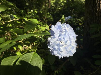〇2026-06-10_16-24-10_373.jpeg