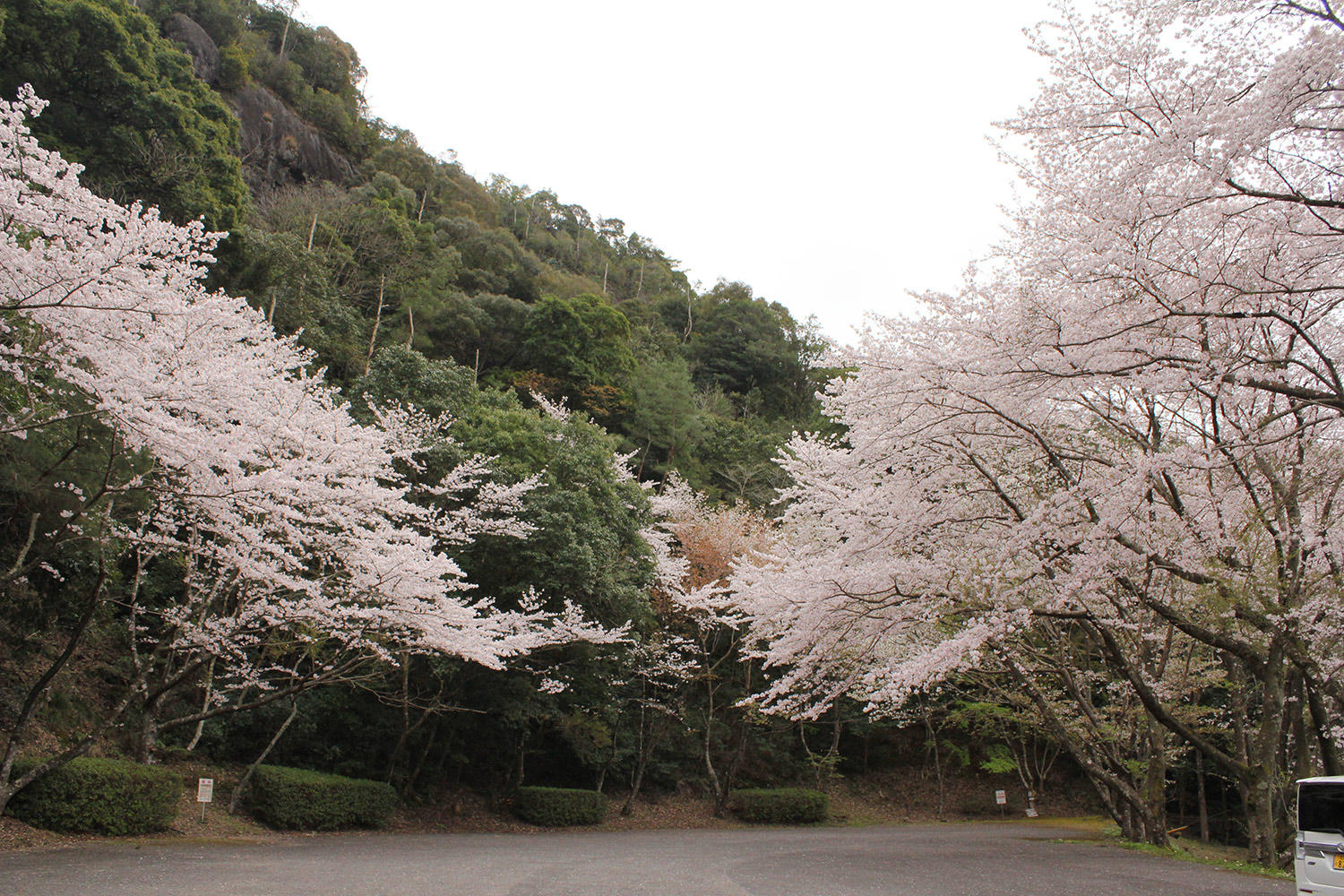 田町 天気 有