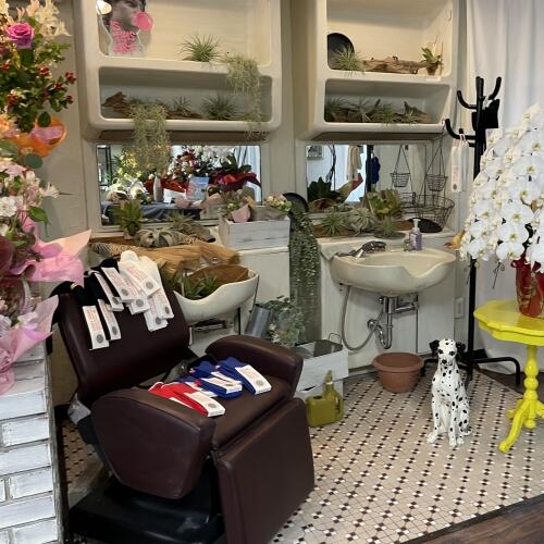 昭和レトロな美容室の椅子や鏡、有田焼の窯を展示。職人気分で記念撮影が楽しめるフォトスポットです。