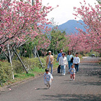 自然景観・公園