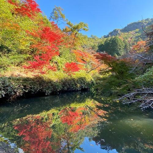 秋は紅葉が満開に。