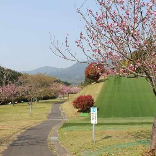 公園には、芝スキーやスプリング遊具、回転式ジャングルジムなどがあります。